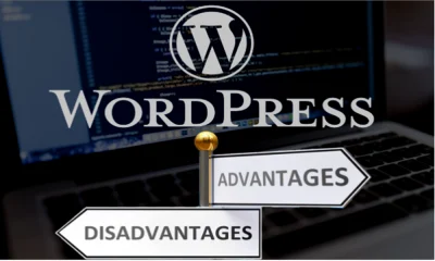 Advantages-and-disadvantages-of-using-many-plugins