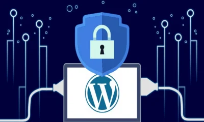 Non-technical-criteria-for-plugins
