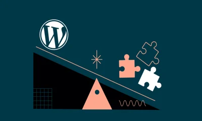 Number-of-standard-plugins-in-terms-of-optimal-performance-and-user-experience