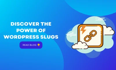 Slug-and-its-optimization-in-WordPress
